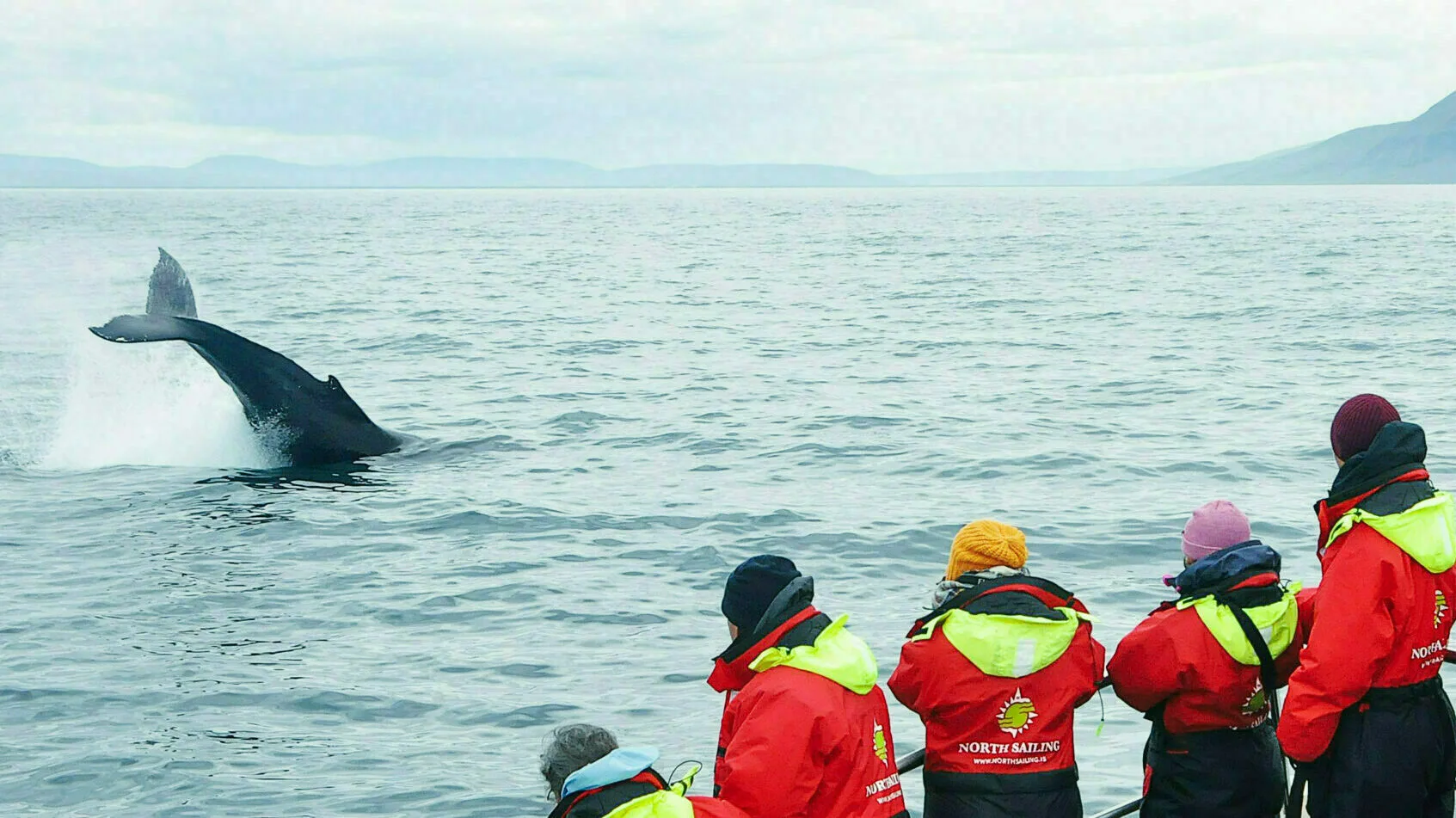 Whale watching Ausflug, Gruppe beobachtet vom Boot aus einen Wal, dessen Schwanzflosse man sieht.