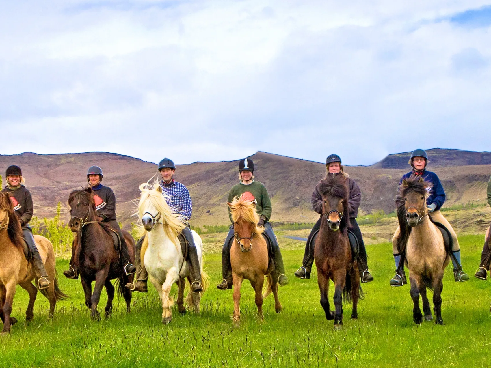 Reiten in Island mit Eldhestar; 
acht Islandpferde mit Reitern in einer Reihe auf einer grünen Wiese