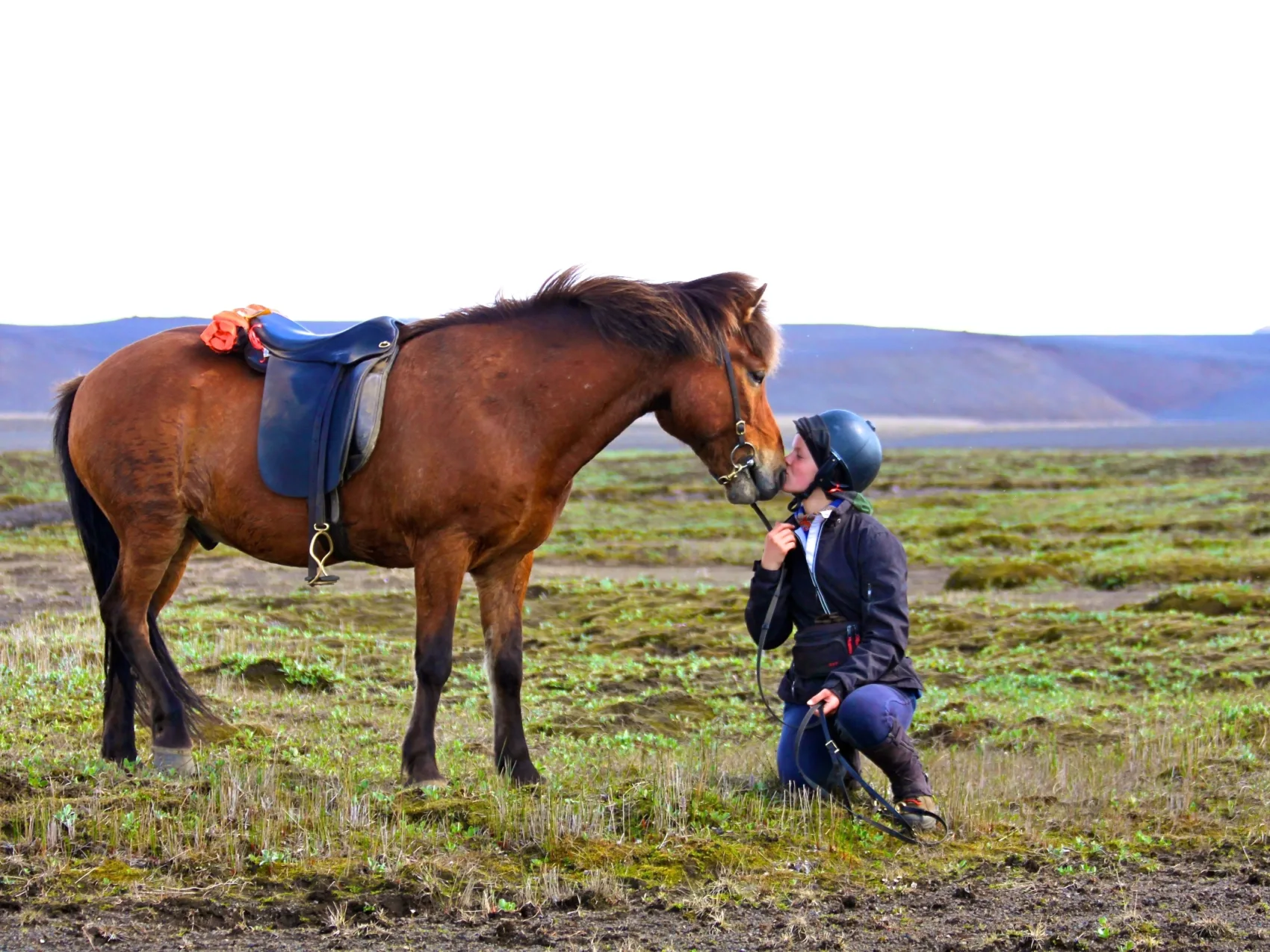 Reiten Island mit Eldhestar; 
Kind kniet vor Islandpferd und küsst dessen Nüstern. Das Islandpferd steht seitlich und hat einen Sattel und Zaumzeug an.