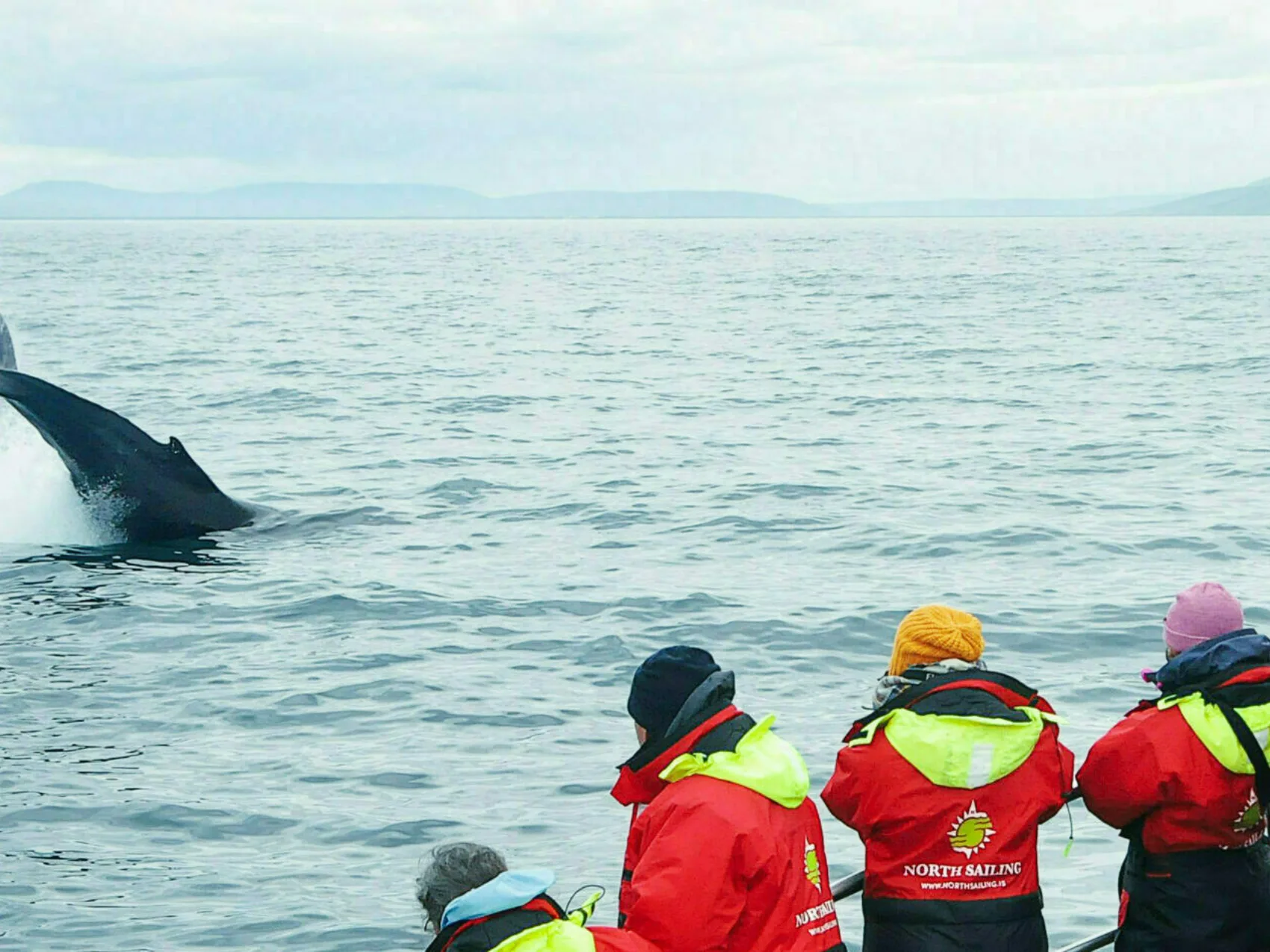 Walbeobachtung Whalewatching Islandreisen Katla Travel Ausflüge Per Boot
Menschen im Overall beobachten Walflosse