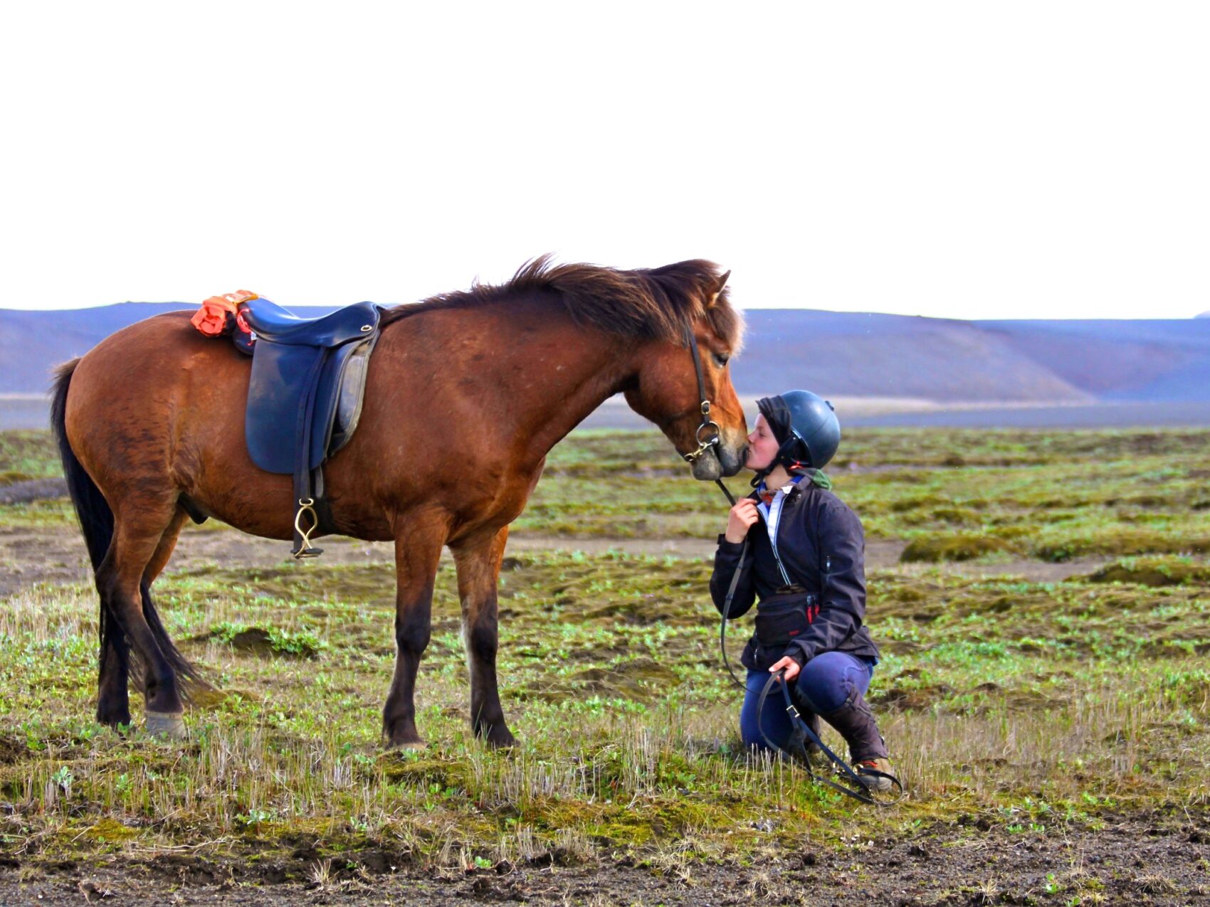 Reiten Island mit Eldhestar; 
Kind kniet vor Islandpferd und küsst dessen Nüstern. Das Islandpferd steht seitlich und hat einen Sattel und Zaumzeug an.