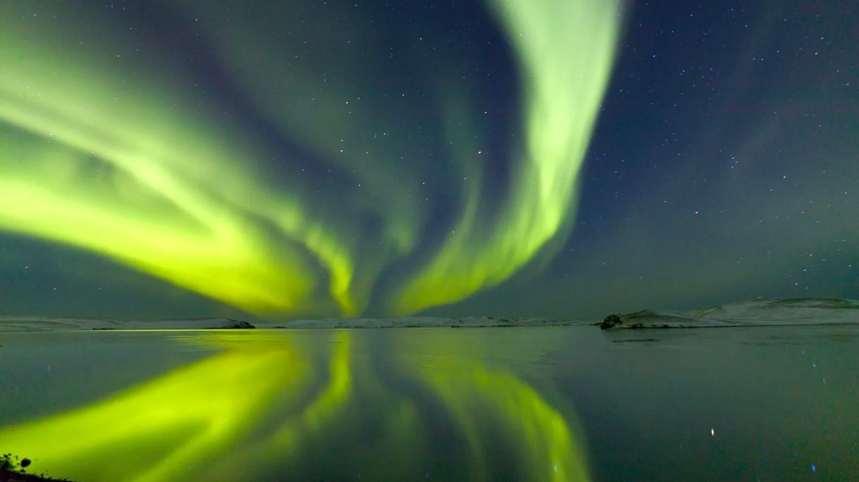 Nordlichter in Island spiegeln sich in einem See
