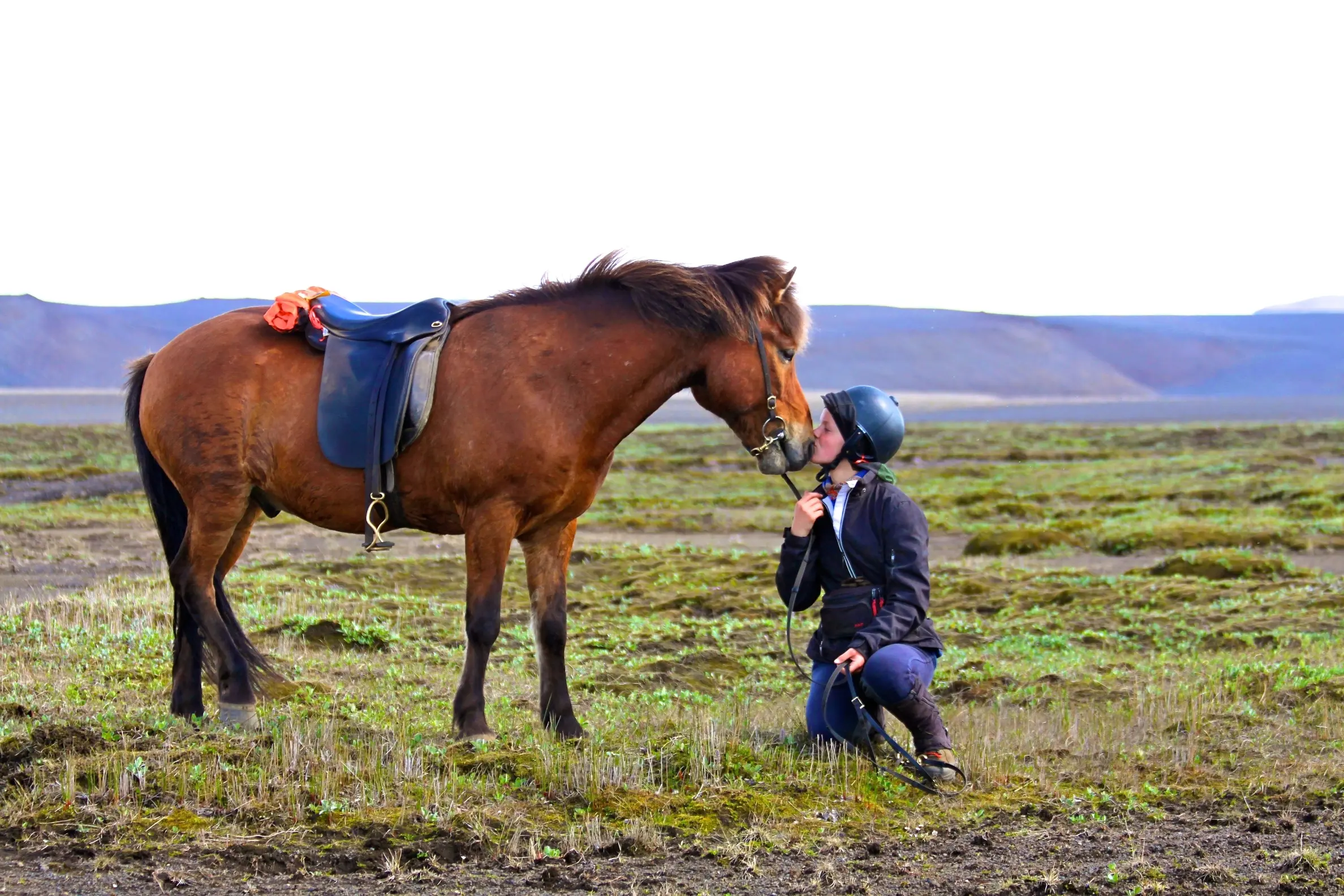Reiten Island mit Eldhestar Reiten Island mit Eldhestar;
Kind kniet vor Islandpferd und küsst dessen Nüstern. Das Islandpferd steht seitlich und hat einen Sattel und Zaumzeug an.