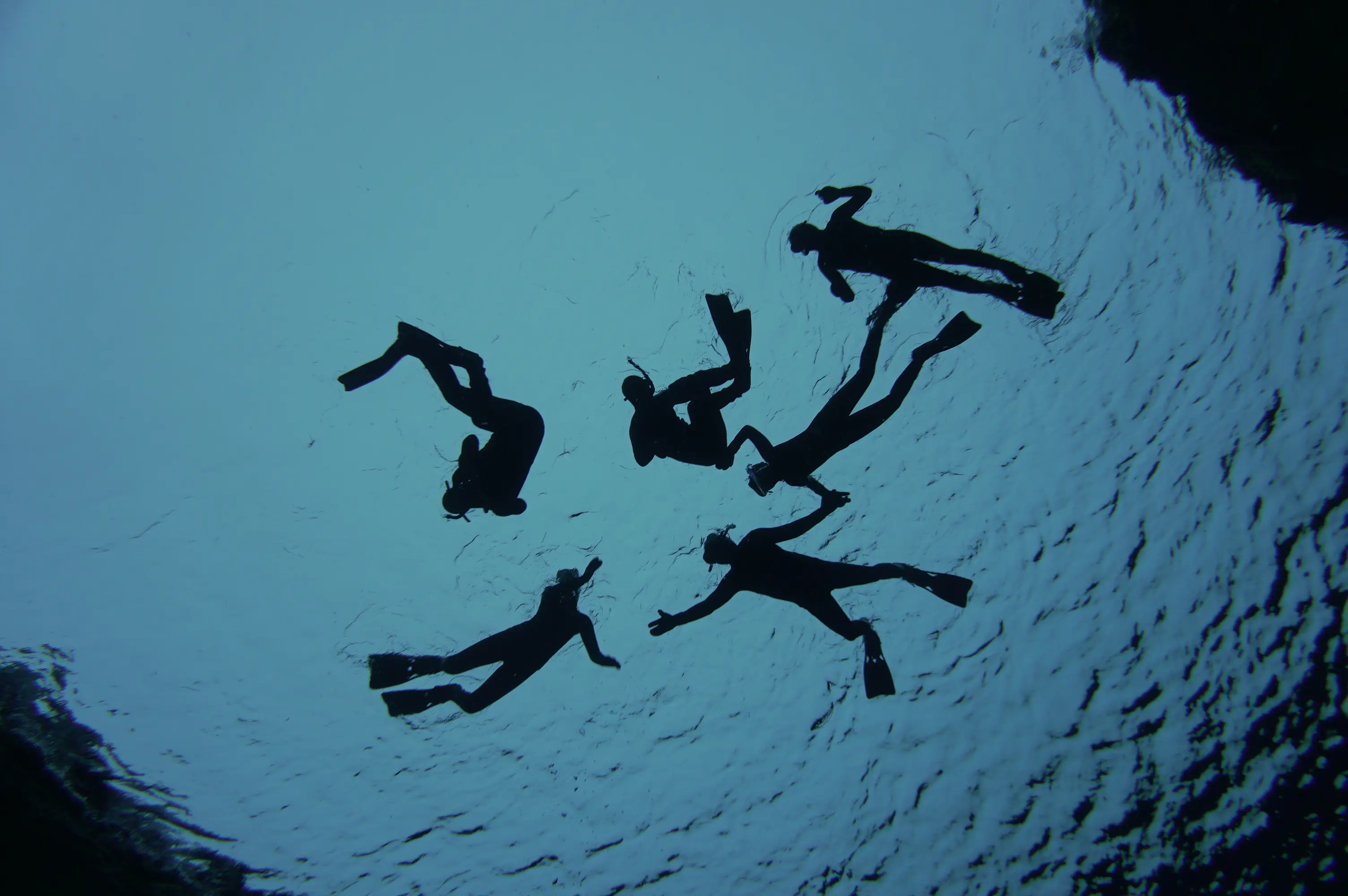 Silfra Schnorcheltour Sechs Schnorchler von unten aufgenommen im dunklen klaren Wasser