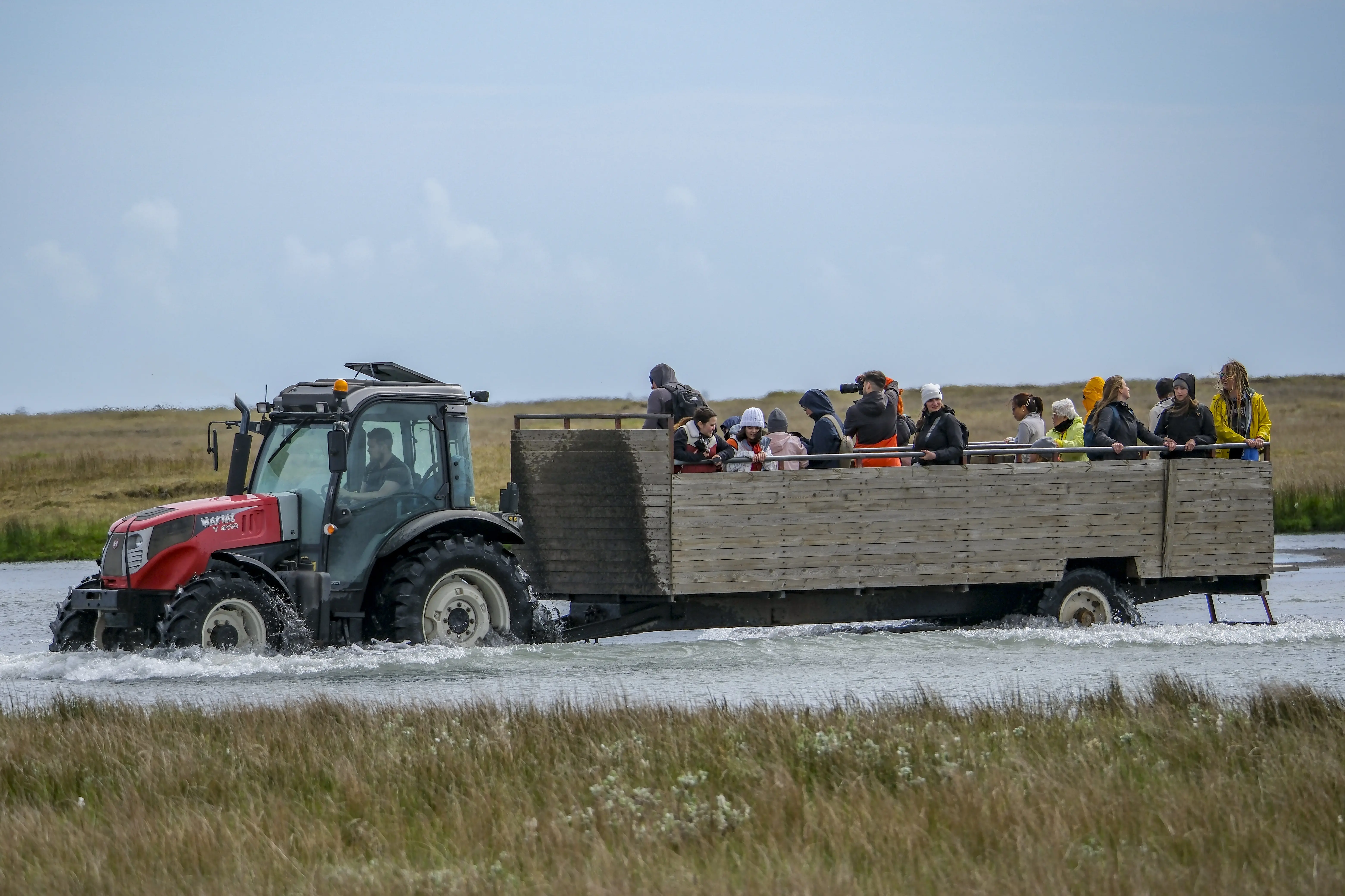 Puffin Tour Traktor Ein Traktor mit Touristen auf einem Anhänger fährt durch einen Fluss auf dem Weg zu einer Puffin Tour