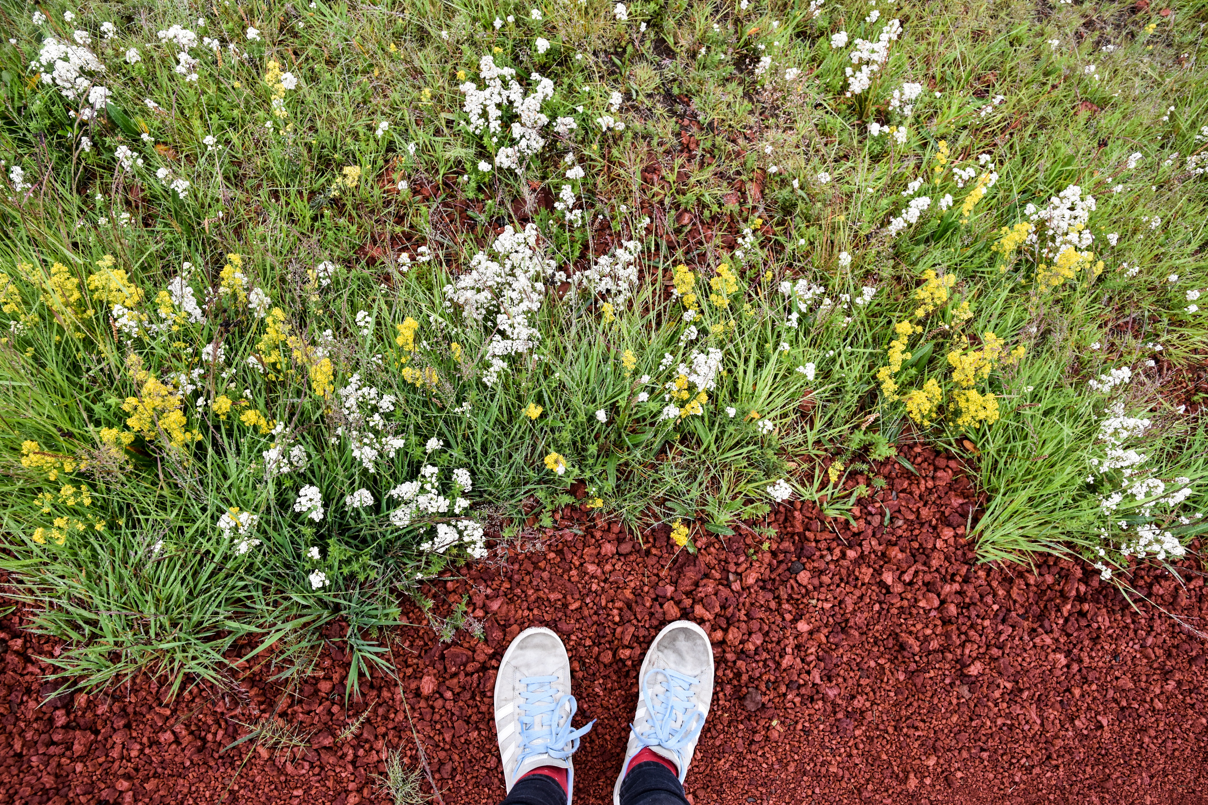 Roter Sand Island Blumen Schuhe FotoCarlotaBlankenmaier