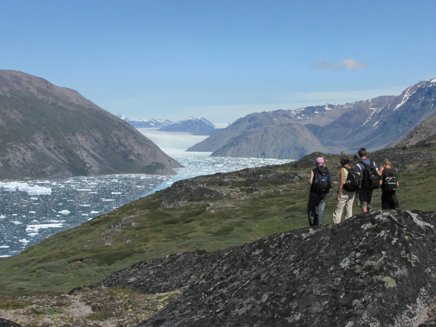 Vier Wanderer blicken auf einen Fjord mit vielen kleinen Eisschollen