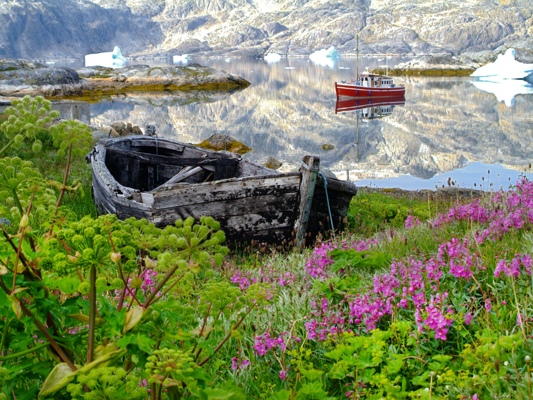 Ostgrönland Bucht mit Blumen, altes Boot steht auf Wiese, sattes grün umgibt die Landschaft, im Hintergrund schroffes Gebirge und treibende Eisschollen