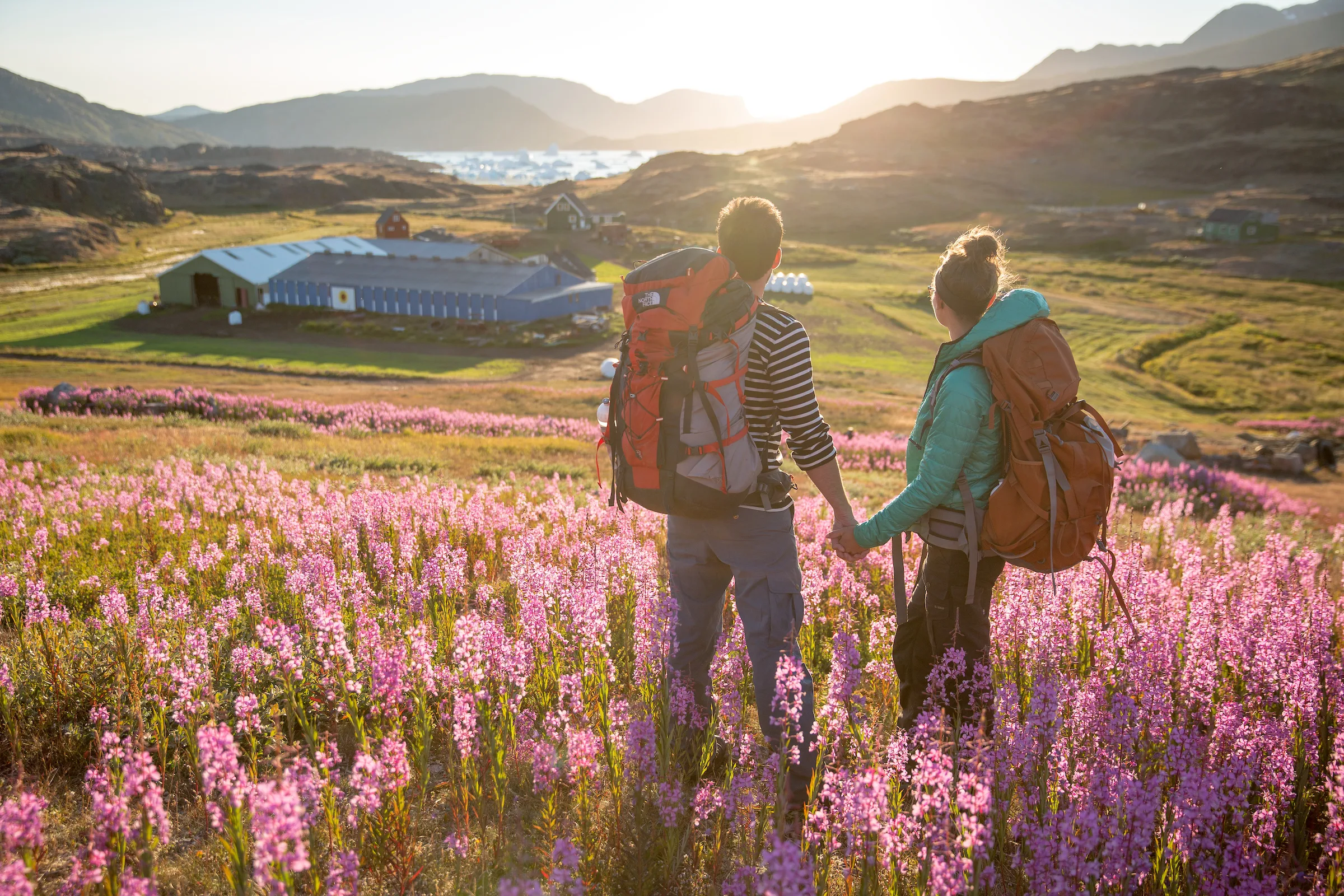 Südgrönland: Wanderndes Pärchen blickt auf eine Schaffarm in Tasiusaq