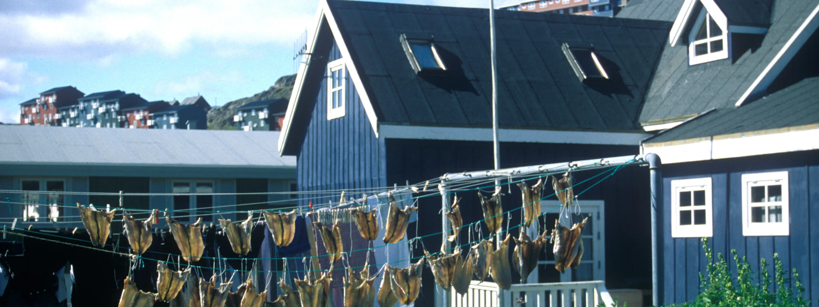 Blau-weißes Haus mit Fischen, die an der Wäscheleine aufgehängt sind.
