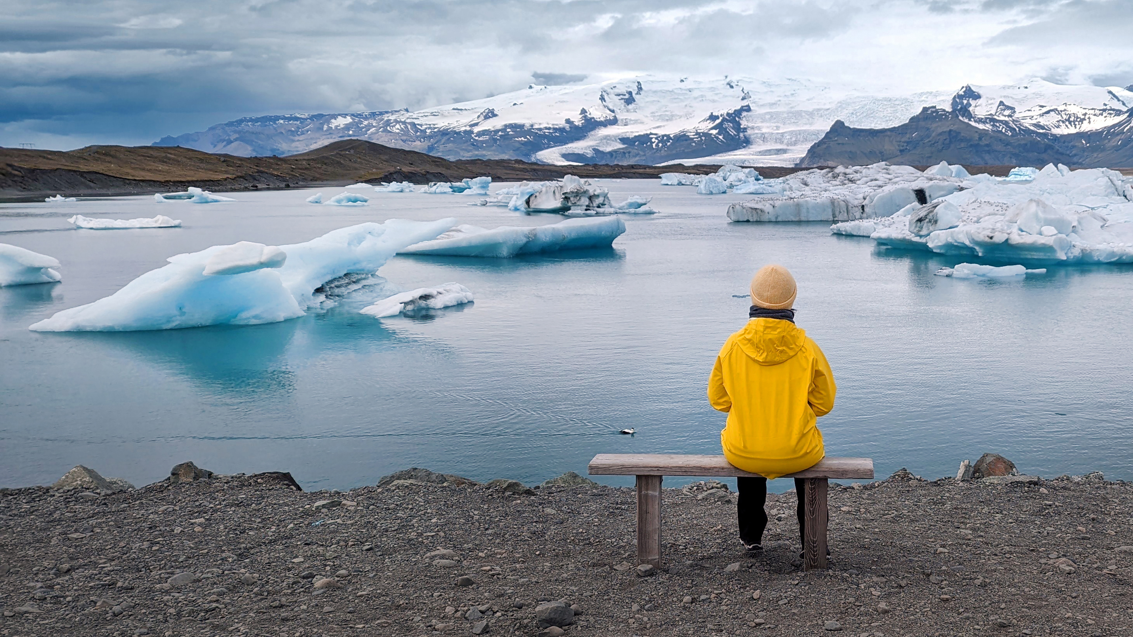 Person mit gelber Jacke sitzt auf Bank, schaut auf Gletscherlagune Joekulsarlon in Island, riesige Eisstücke ragen aus dem blauen Wasser, schneebedeckte Berge im Hintergrund