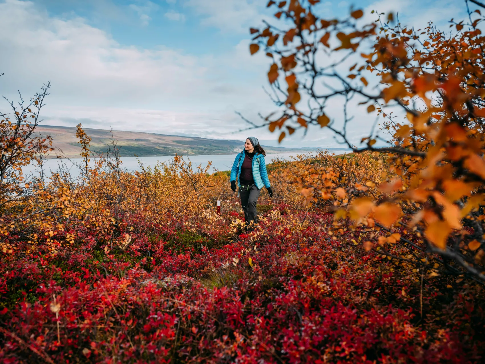Wandernde Frau im Herbstwald am See Lagarfljot in Ostisland.