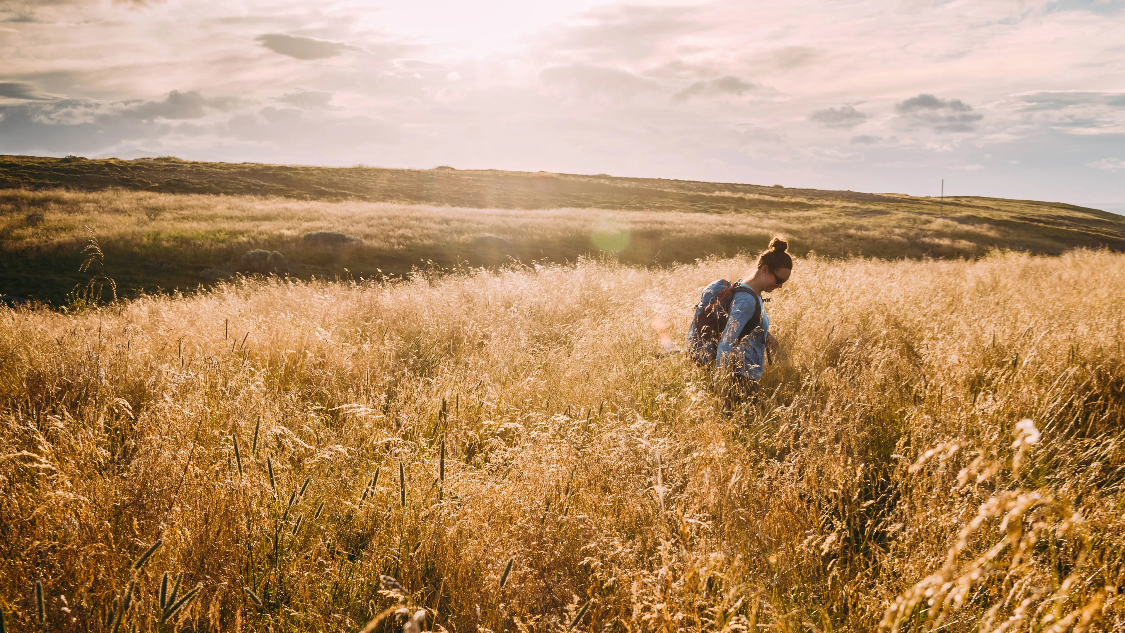 Frau steht bei sonnigem Wetter in hohem Grasfeld in Island