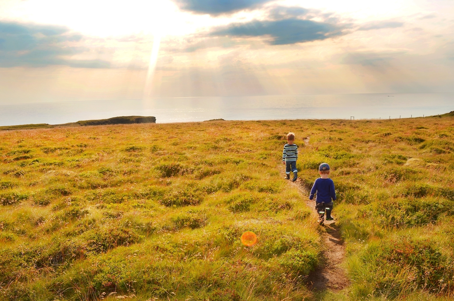 Island Snaefellsnes, Kinder stromern durch die Wiese