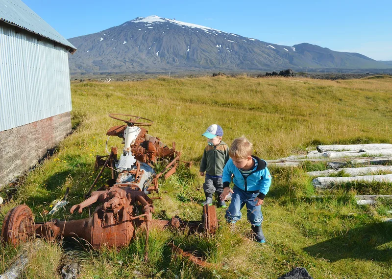 Kinder genießen den Ferienhausurlaub in Island, im Hintergrund ein großer Berg