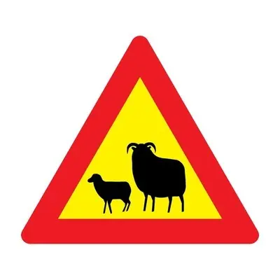 Schild schafe