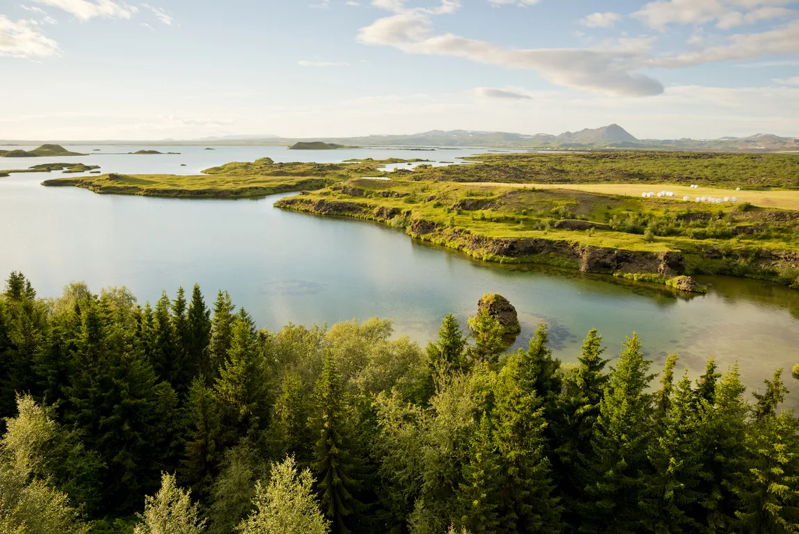 Vulkangebiet Mývatn in Nordisland, Wald im Vordergrund, Wasser und grüne Hochebene im Hintergrund, Foto: Thomas Linkel