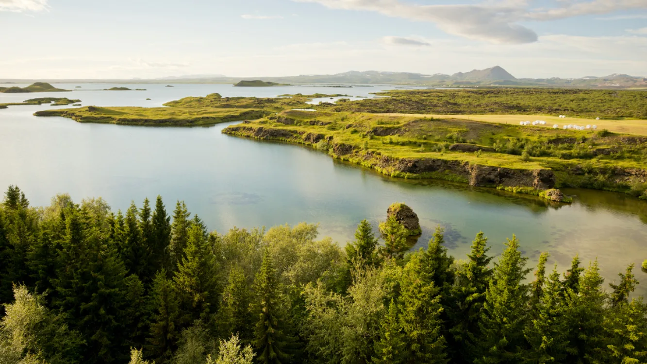 Vulkangebiet Mývatn in Nordisland, Wald im Vordergrund, Wasser und grüne Hochebene im Hintergrund, Foto: Thomas Linkel