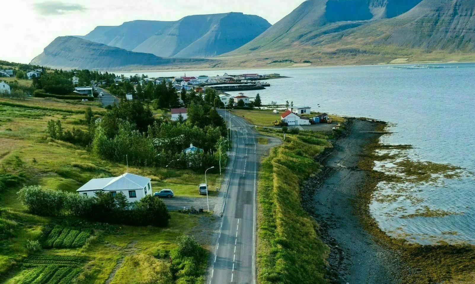 Luftaufnahme der Þingeyri-Straße mit einigen Häusern umherum. rechts davon ist das Meer und im Hintergrund Berge