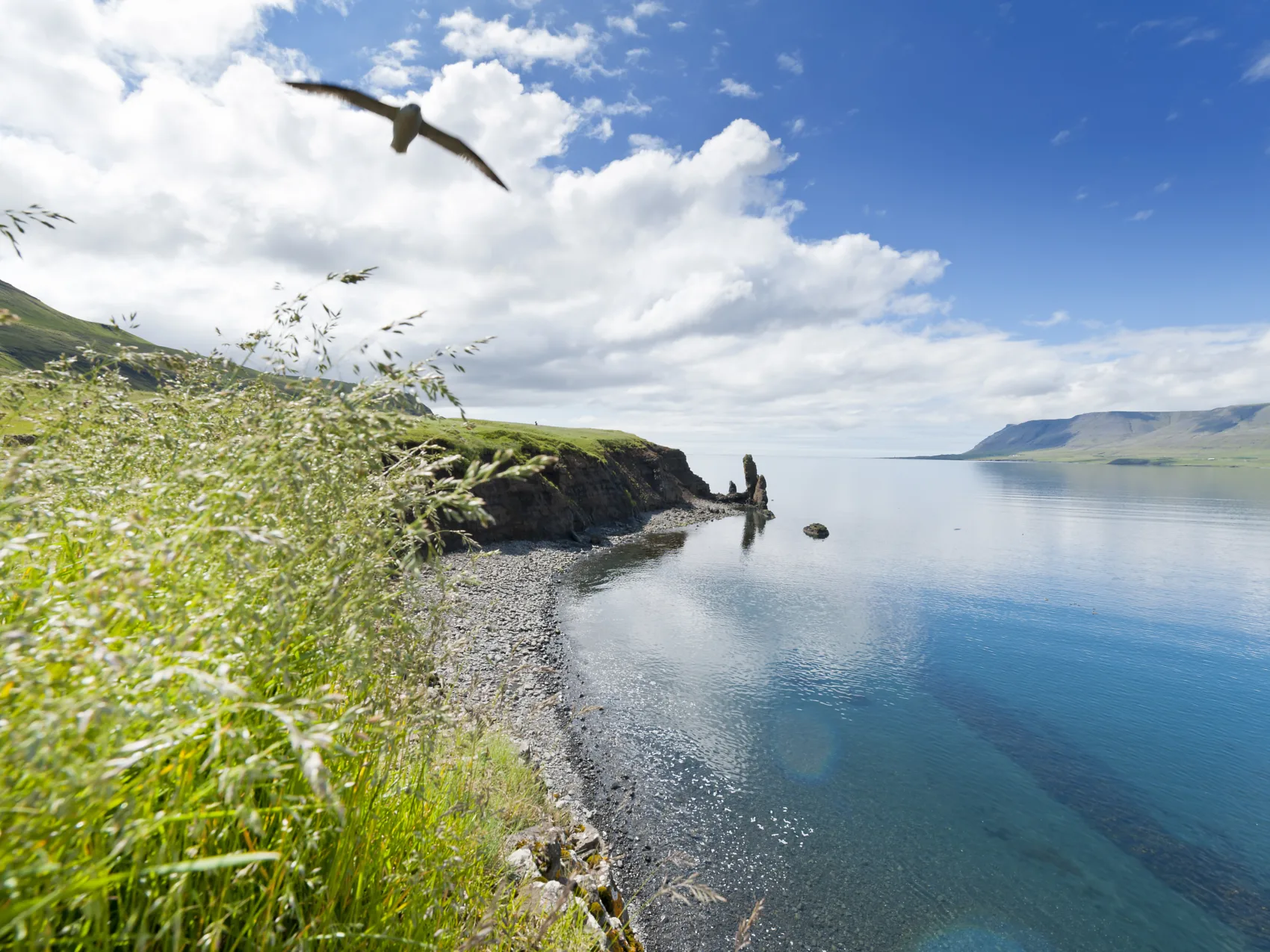 Westisland Hvalfjordur Walfjord, Foto: Thomas Linkel