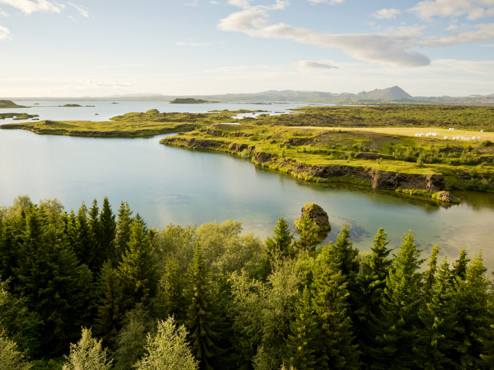 Vulkangebiet Mývatn in Nordisland, Wald im Vordergrund, Wasser und grüne Hochebene im Hintergrund, Foto: Thomas Linkel