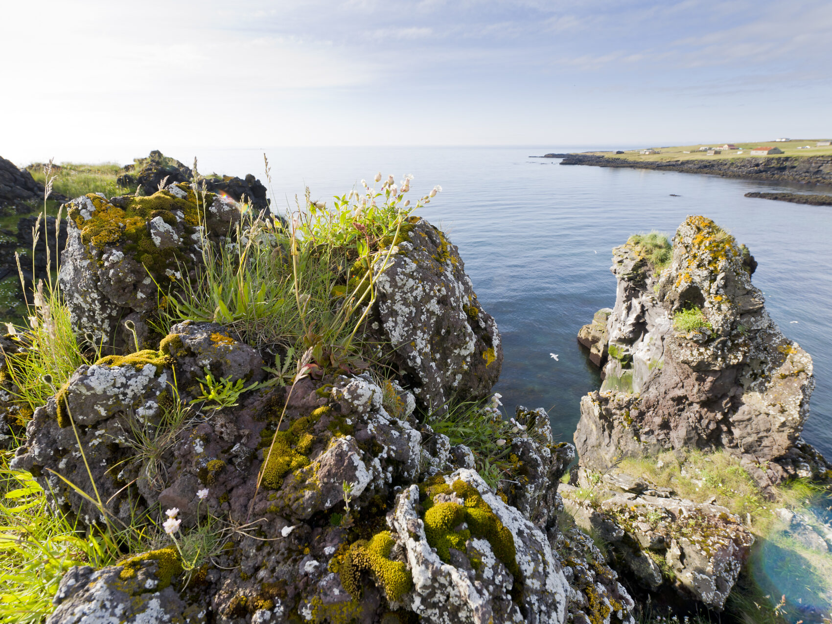 Steilküste Hellnar auf der Snaefellsness Halbinsel in Westisland, Foto: Thomas Linkel