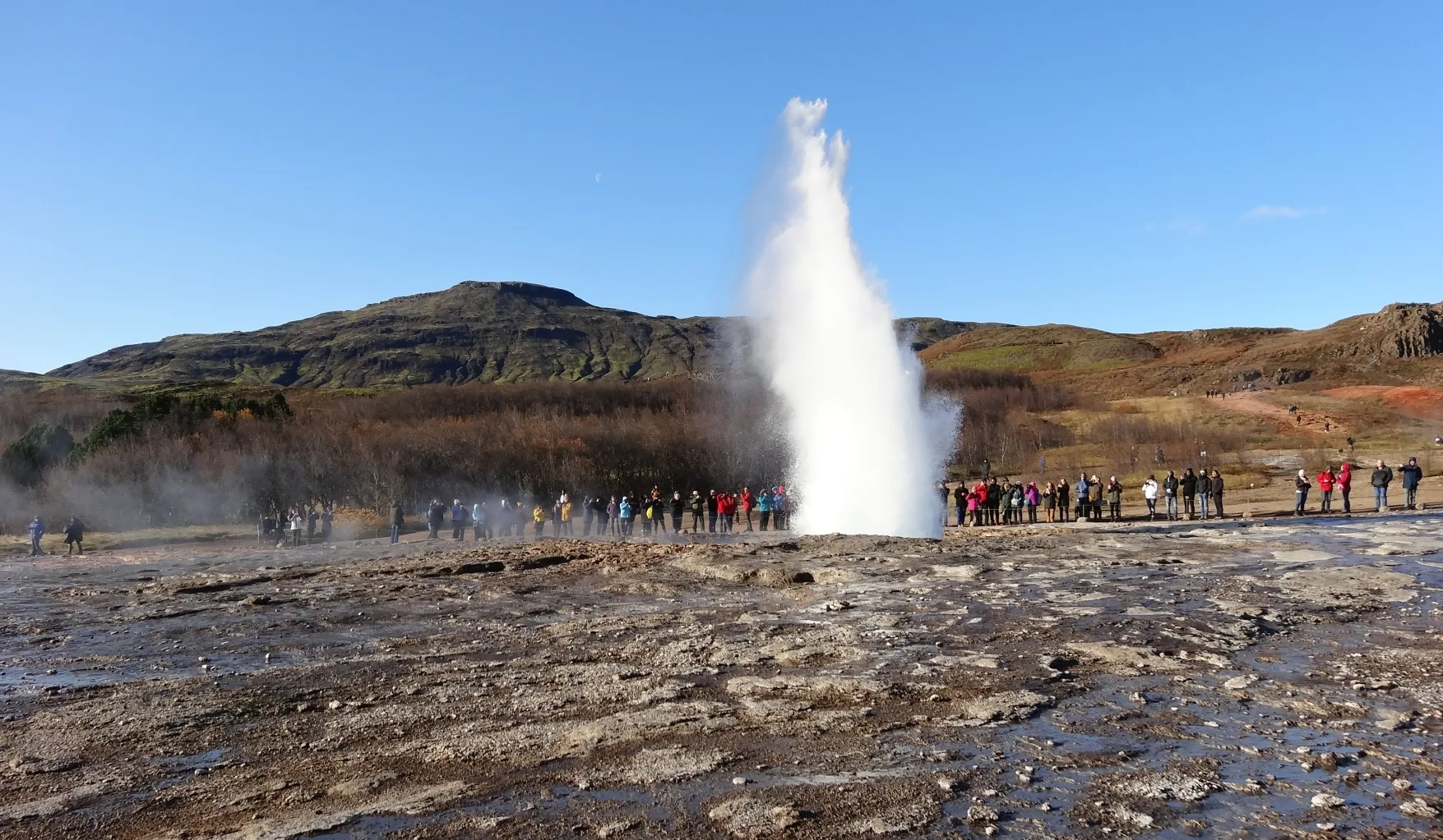 Island Geysir Strokkur bricht aus/schleudert eine Wasserfontäne in die Luft und zahlreiche Menschen schauen ihm nebeneinander zu. Im Vordergrund Felsstruktur am Boden, im Hintergrund Hügel