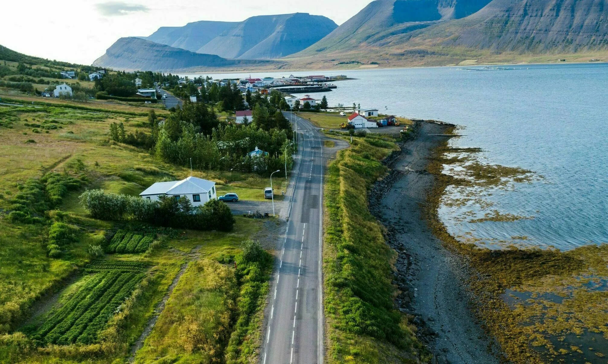 Luftaufnahme der Þingeyri-Straße mit einigen Häusern umherum. rechts davon ist das Meer und im Hintergrund Berge