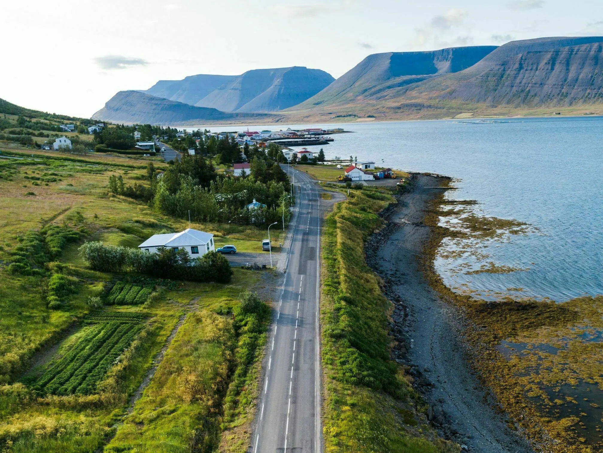 Westfjorde Þingeyri-Straße, Foto: Business iceland Westfjorde Þingeyri-Straße