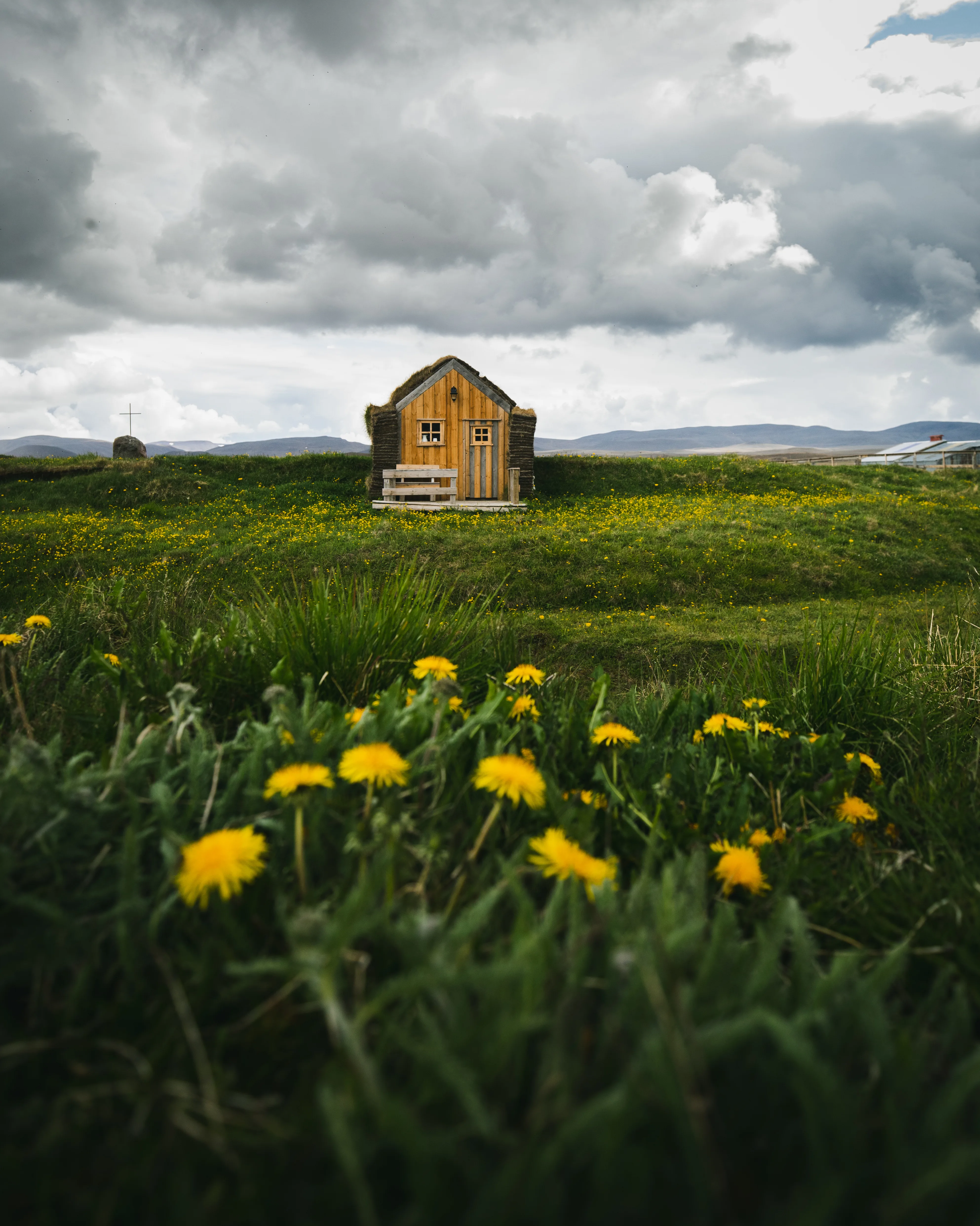 Löwenzahnblüten direkt vor der Kamera untermalen die Einsamkeit des Hauses in Möðrudalur im Hintergrund
