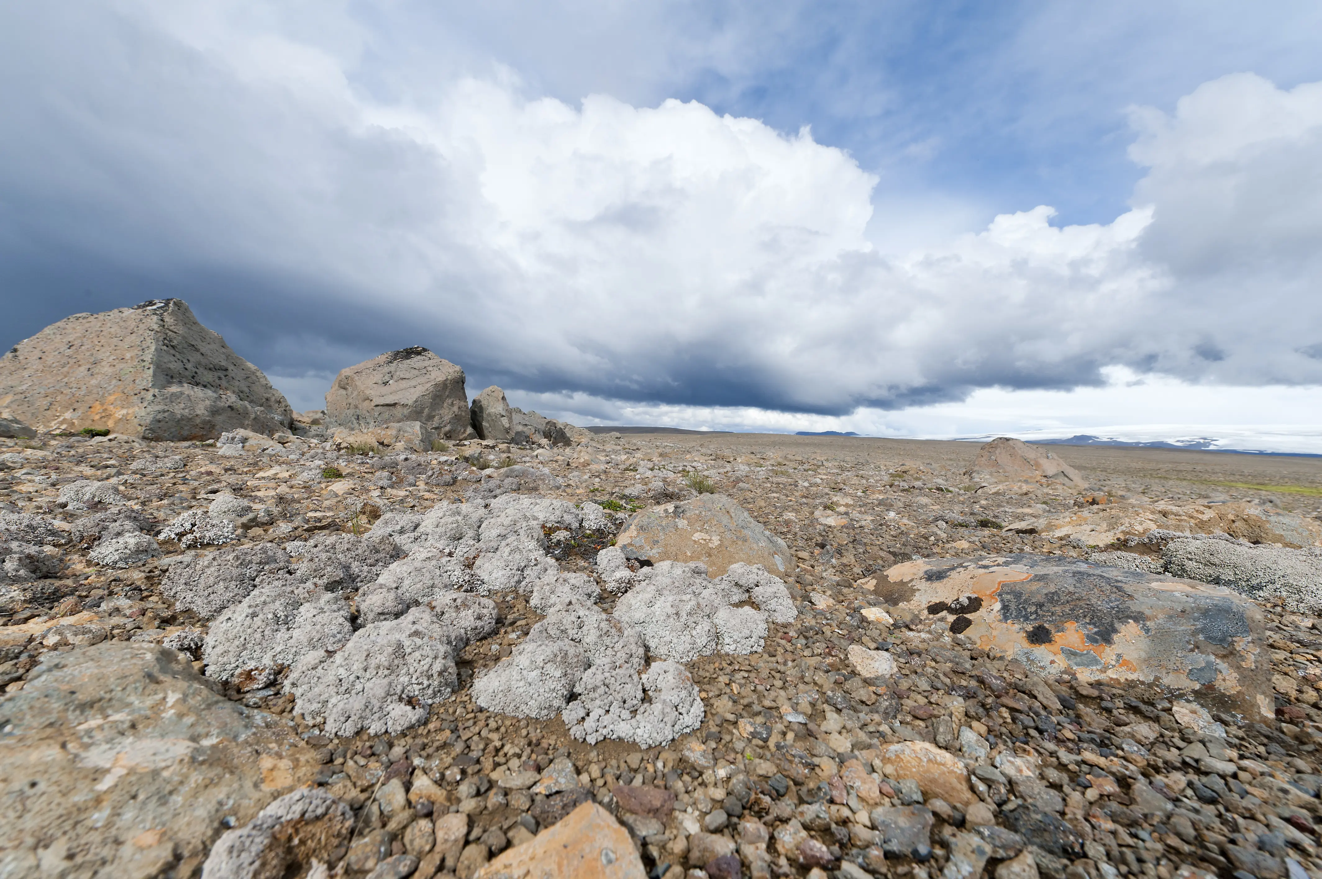 Hochland kjoelur hochlandroute foto thomas linkel steiniges und weites Hochland in Island mit bewölktem Himmel