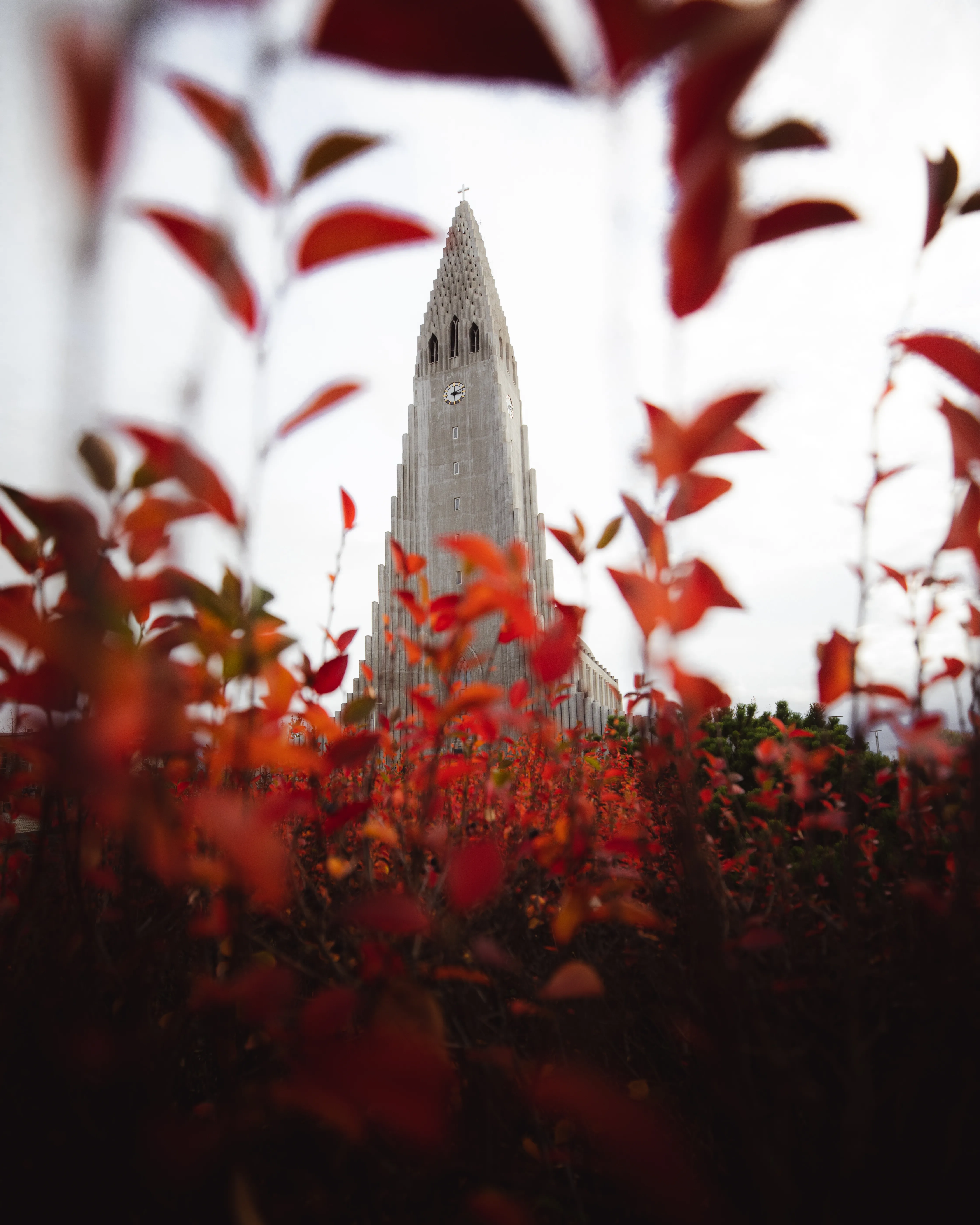 Reykjavik Hallgrímskirkja - Sehenswürdigkeiten bei einer Städtereise