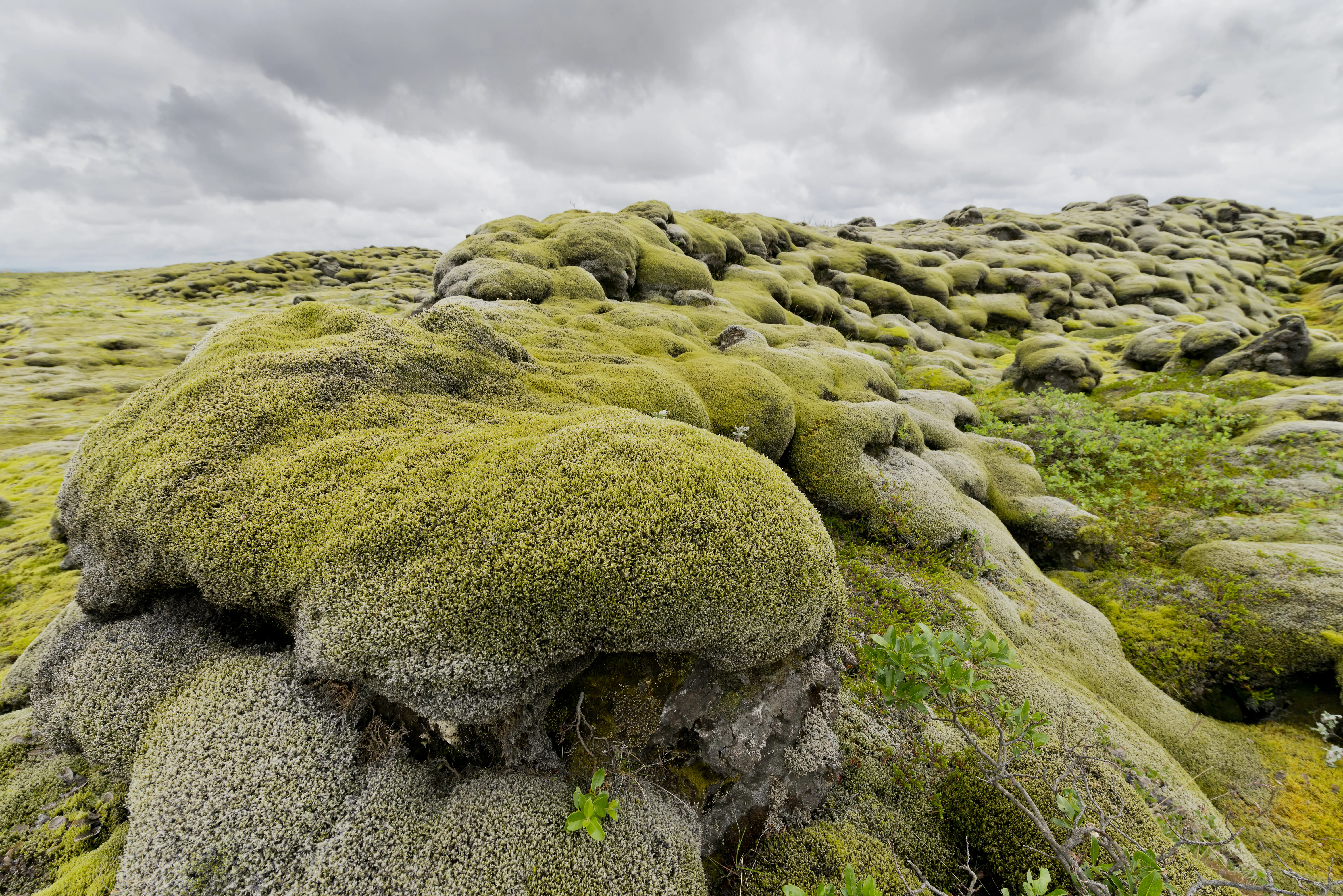 Weite Landschaft mit moos bewachsenen Steinen