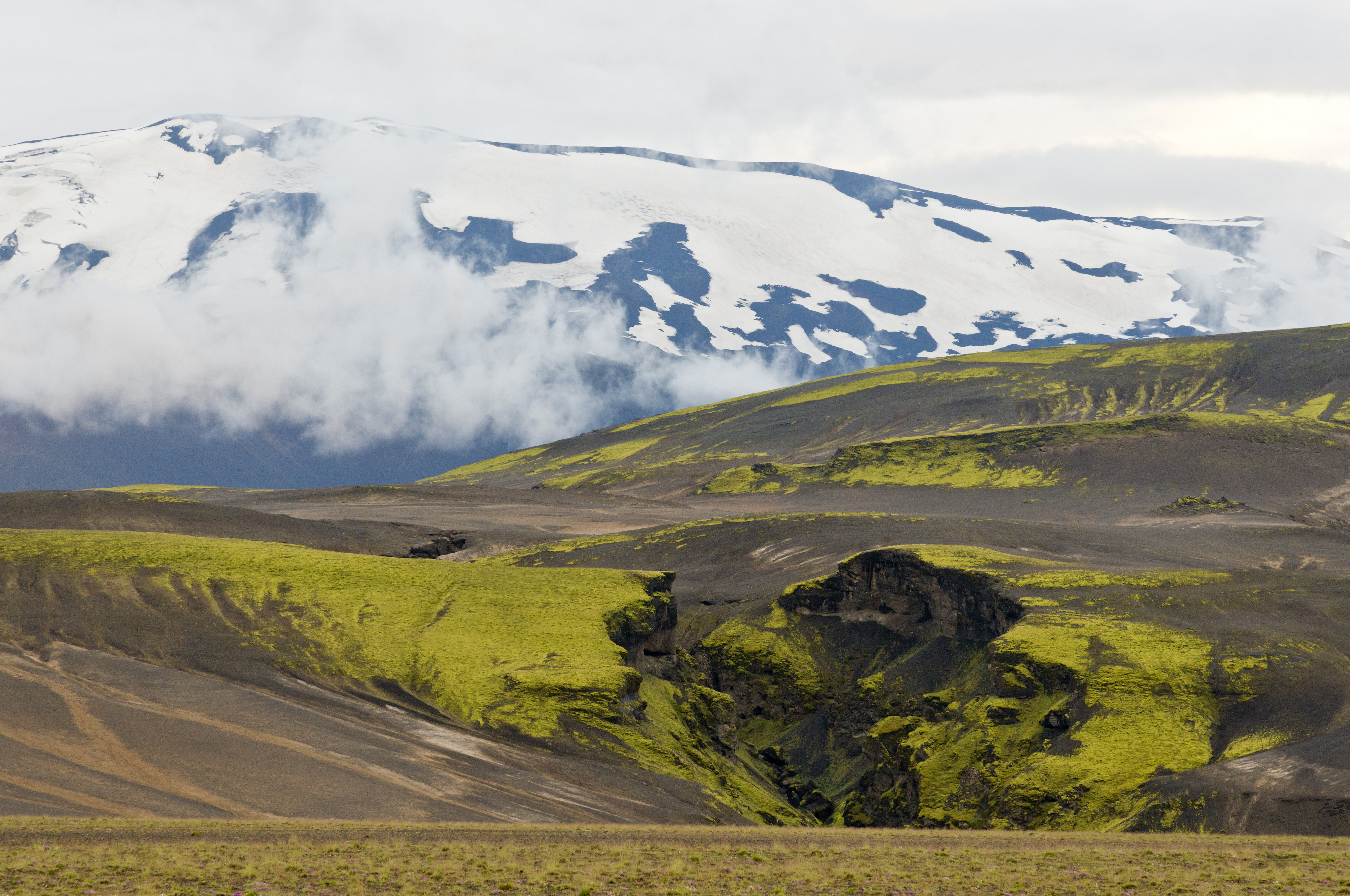 Schneebedeckte Hänge am Vulkan Hekla in Südisland; grün-graue Landschaft im Vordergrund, Foto: Thomas Linkel
