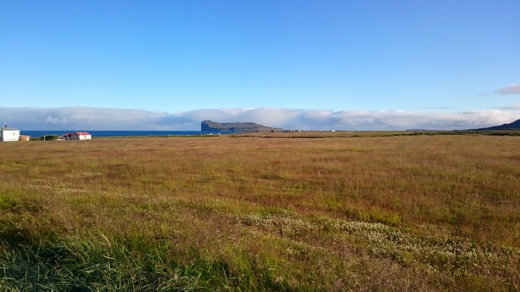 Wiese in Island - Klima und Geologie