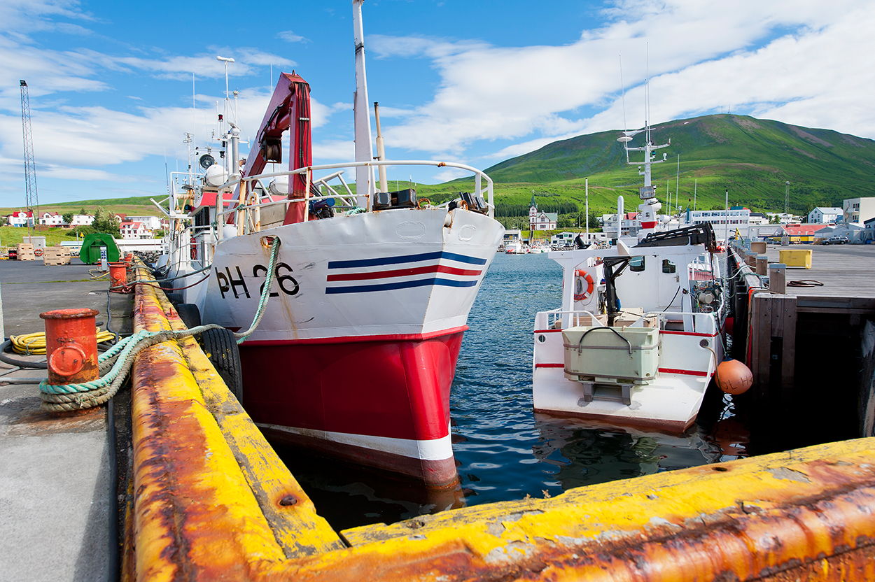 Boote am Hafen von Husavík in Nordisland, Walbeobachtung