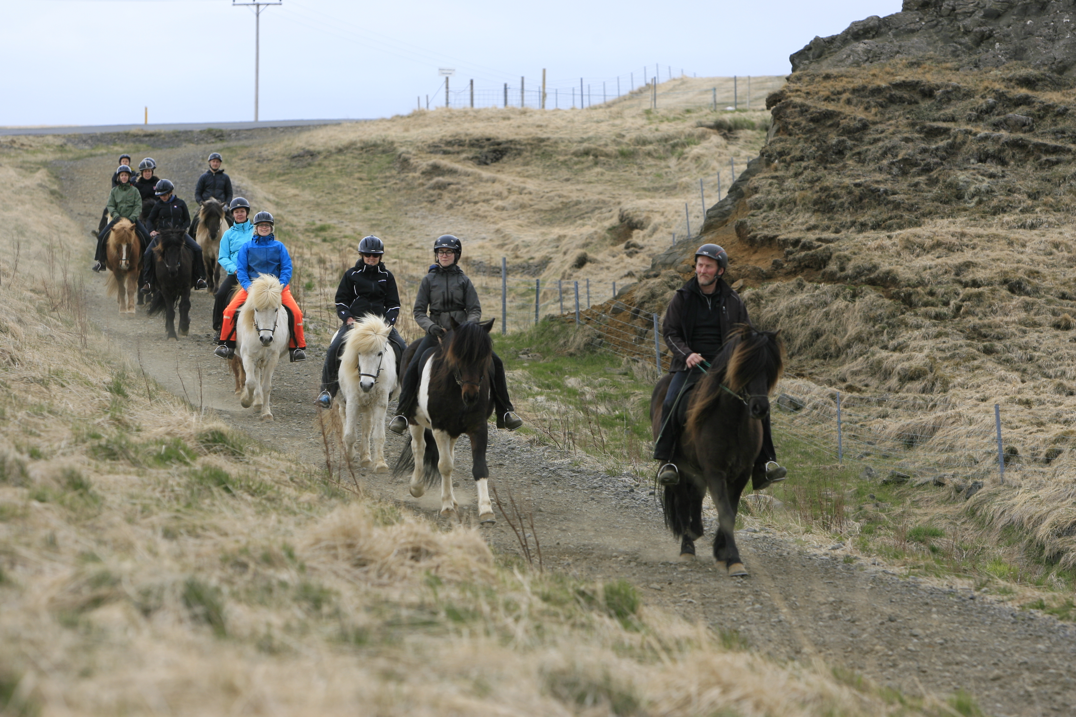 Katla Mitarbeiter reiten mit den Islandpferden durch die Frühjahrslandschaft