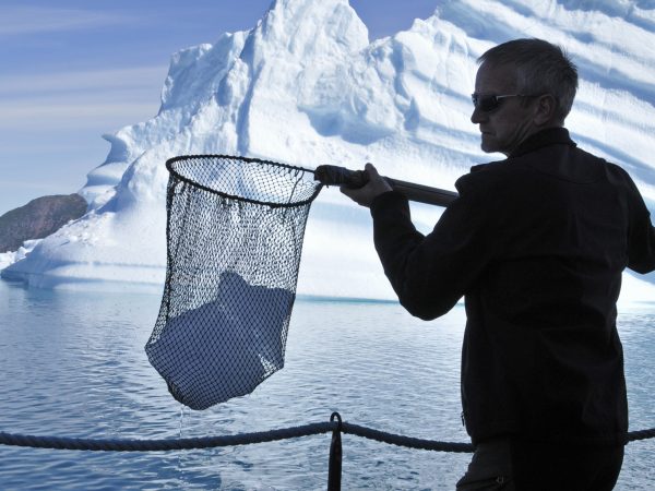 Mann holt mit dem Netz Eisbrocken aus dem Meer während einer Bootsfahrt zwischen Eisbergen im Qoroq Eisfjörd